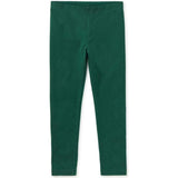 Solid Leggings, Green