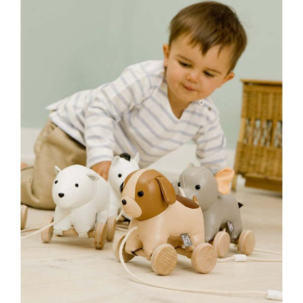 Pull Along Friends - Adrien the Dog