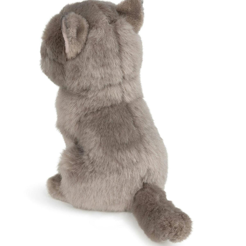 BT CHAPS FREDDY THE BRITISH SHORTHAIR FLOPPY in Giftbox 6.5"