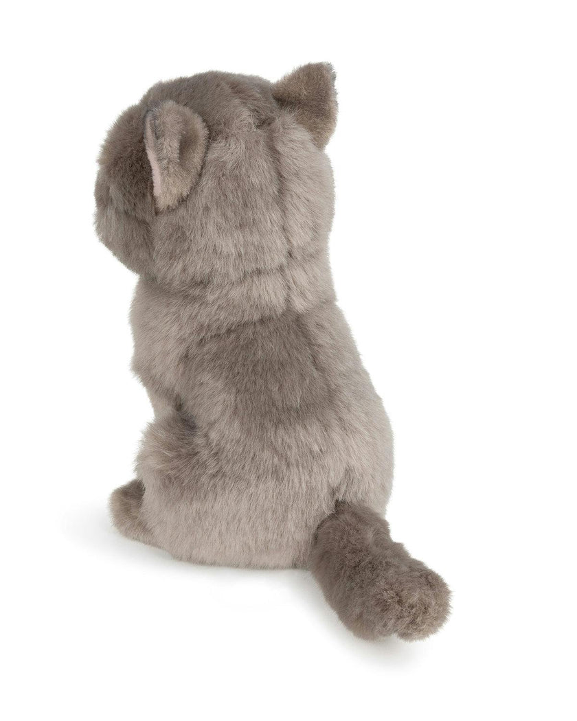 BT CHAPS FREDDY THE BRITISH SHORTHAIR FLOPPY in Giftbox 6.5"