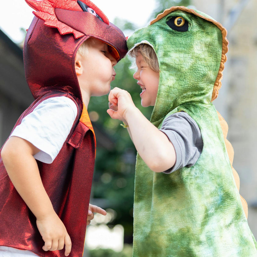 The All Day Everyday Dino Vest