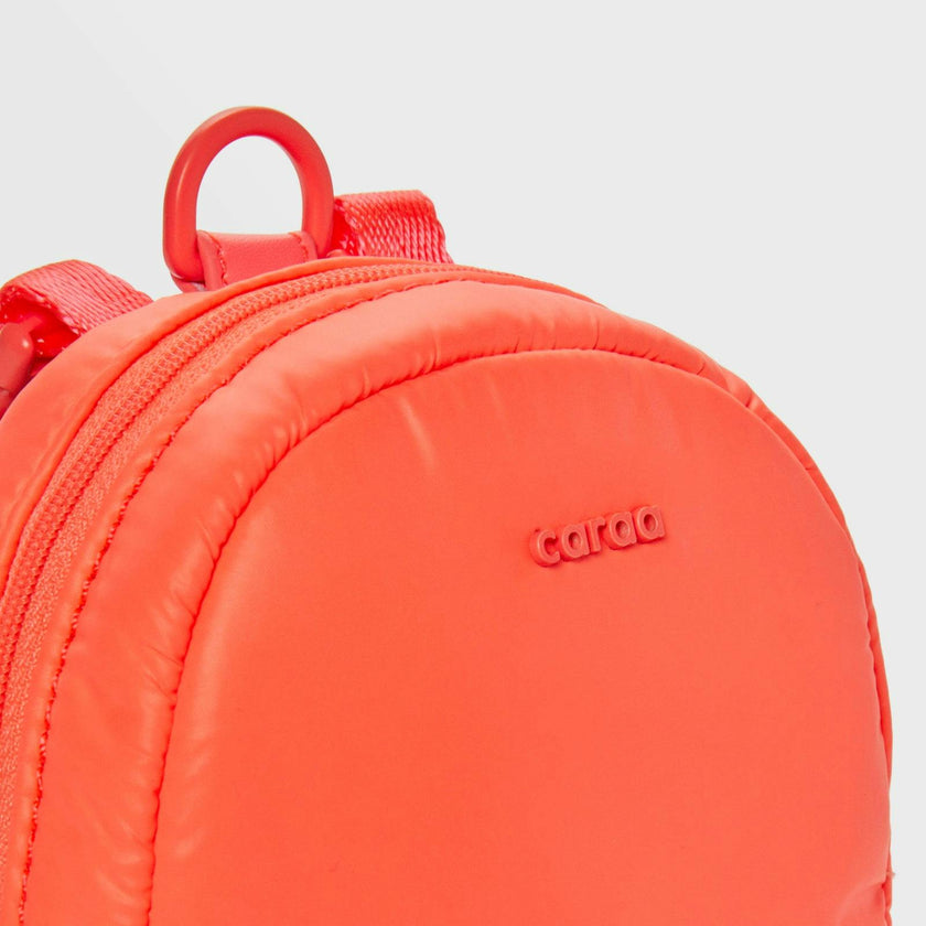 Dog Backpack
