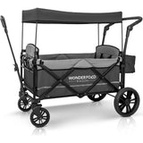 Pull & Push Double Stroller Wagon 2 Seater