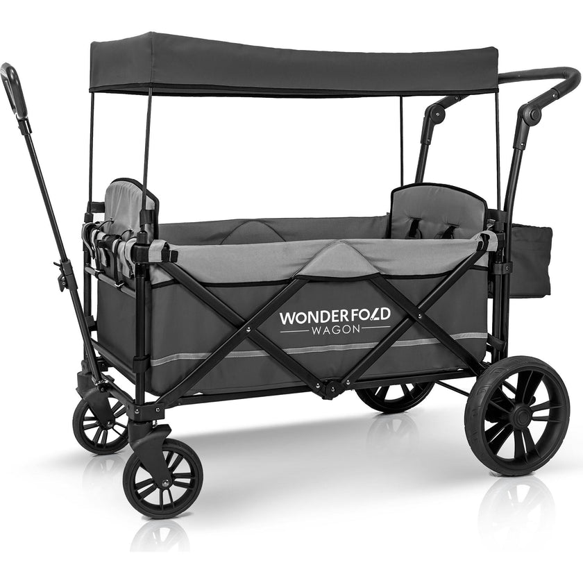 Pull & Push Double Stroller Wagon 2 Seater
