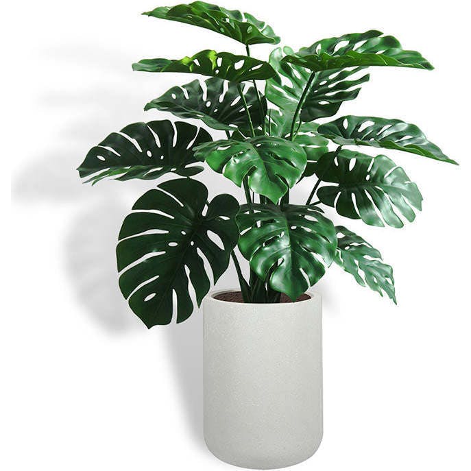 4' Monstera Plant in Modern Gray Planter