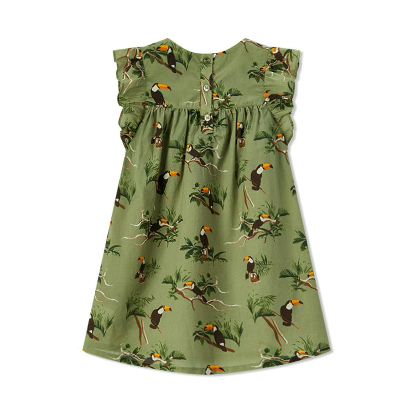 Toucan Butterfly Ruffle Dress