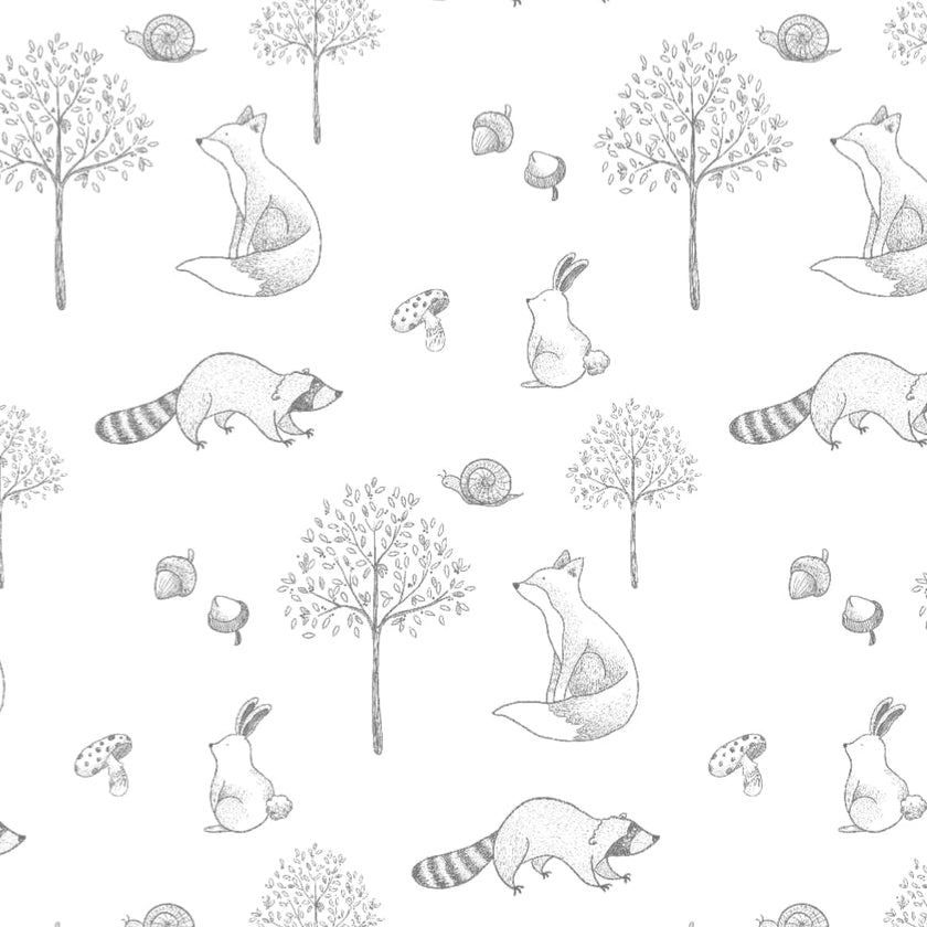 Gray Raccoon Pima Cotton Baby Blanket