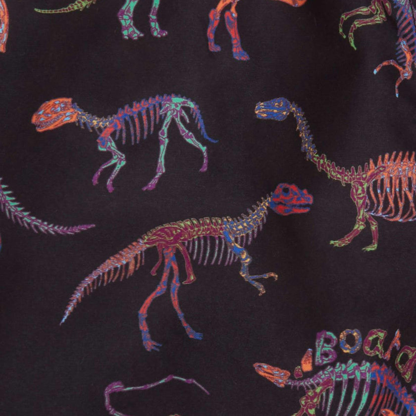 Kids Dino Bones