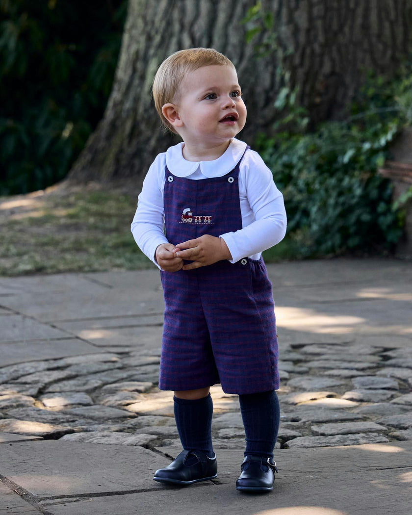 Baby Alfie Bib Shorts in Train