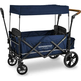 Pull & Push Double Stroller Wagon 2 Seater