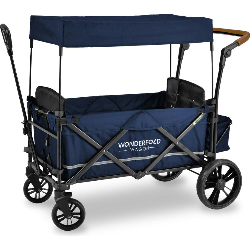 Pull & Push Double Stroller Wagon 2 Seater