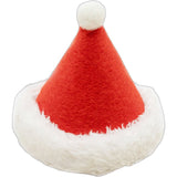 HOLIDAY HAT