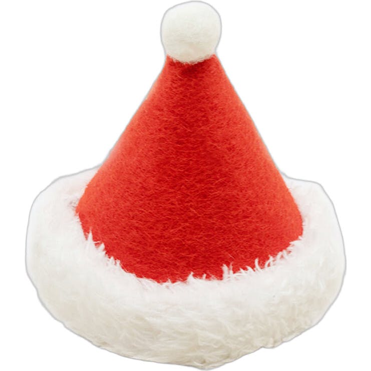 HOLIDAY HAT