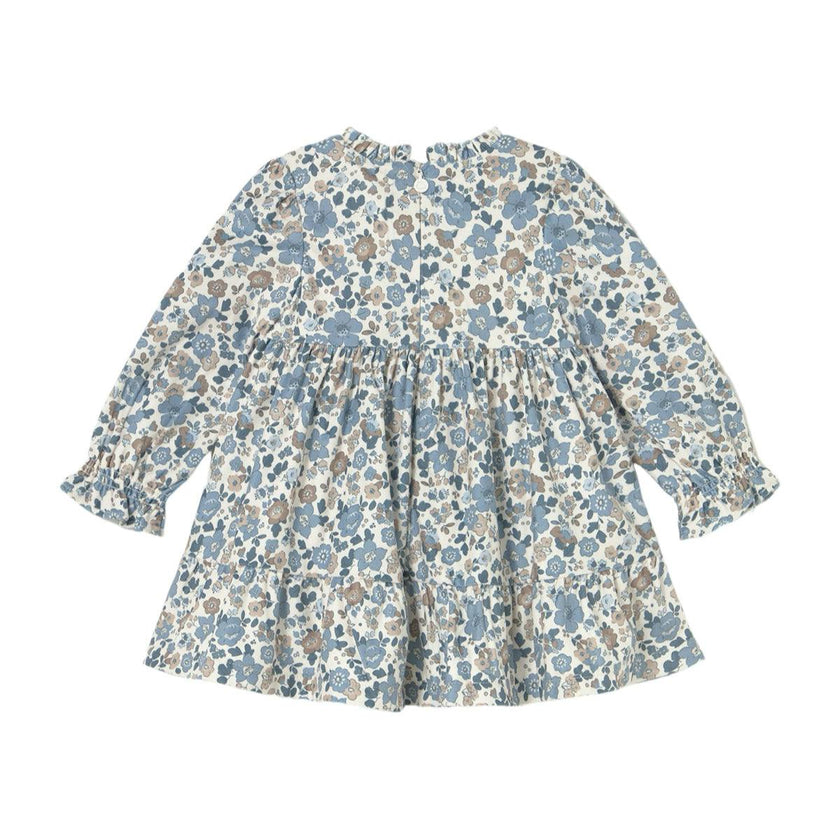 Baby Ruffled Velvet Dress