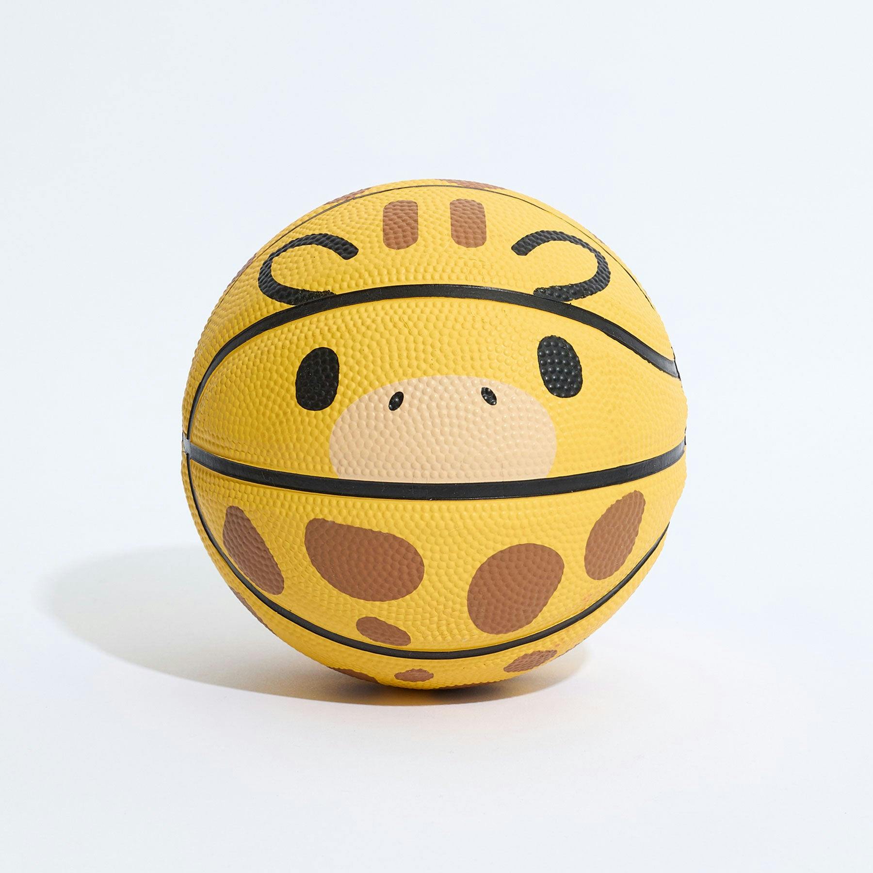Geoff Mini Basketball (17