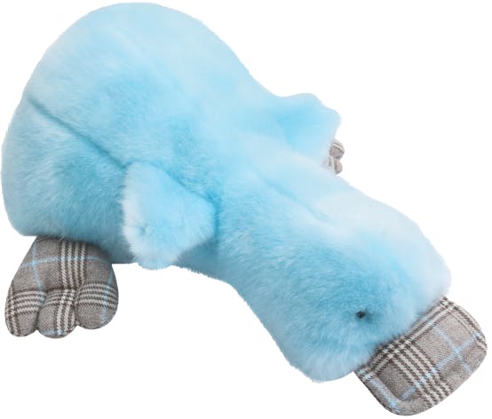 Aglae the Duck | Sky Blue | Scottish Print