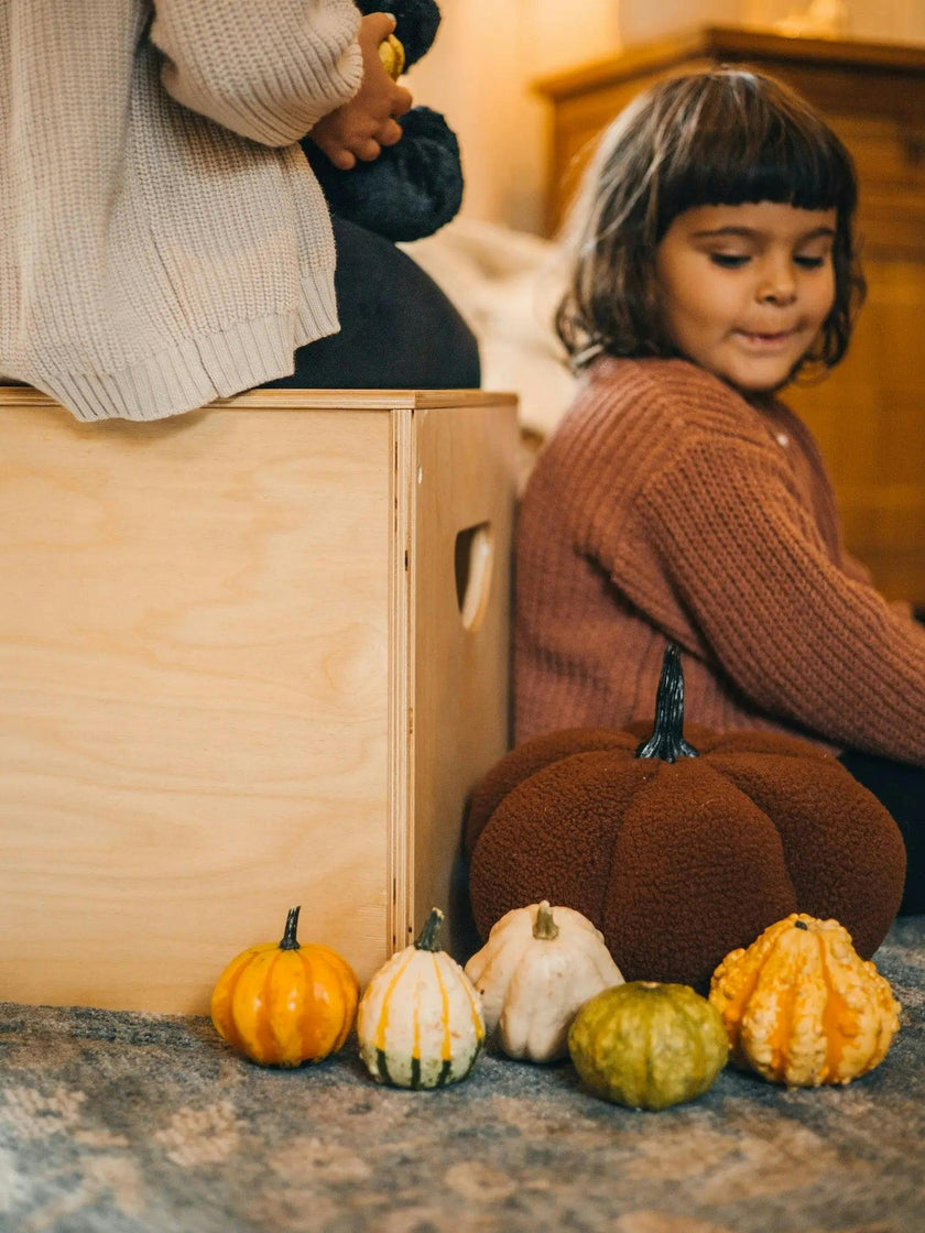 Wooden 14-inch Square Toy Box