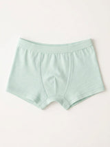 Boxer Brief