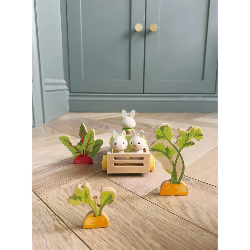 Bunny's Carrot Patch