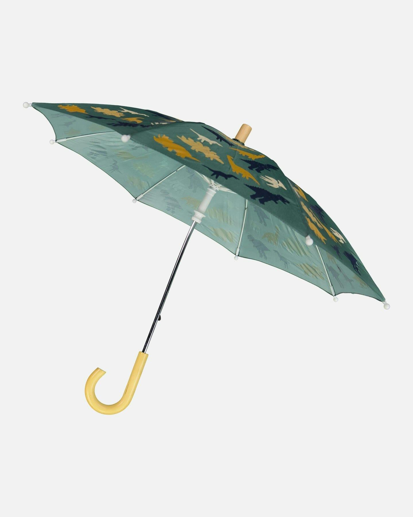 Umbrella