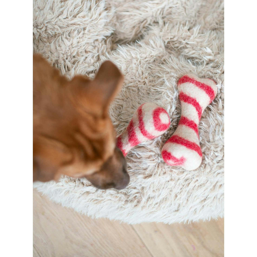 HOLIDAY WOOL BONES, Multi