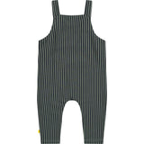Striped Overalls