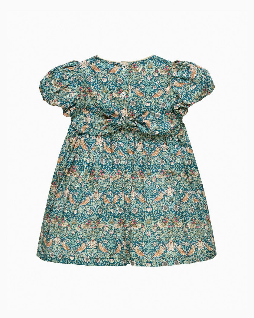 Baby Party Dress in Strawberry Thief