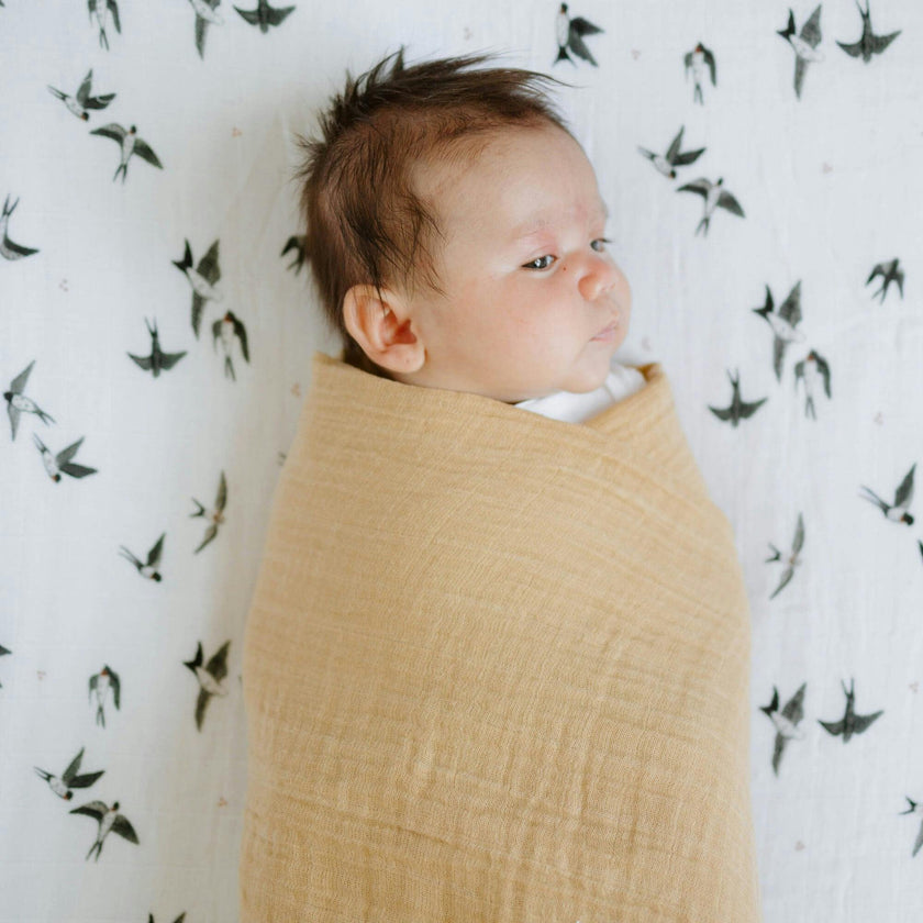 Organic Cotton Muslin Swaddle Blanket 2 Pack - Swallows