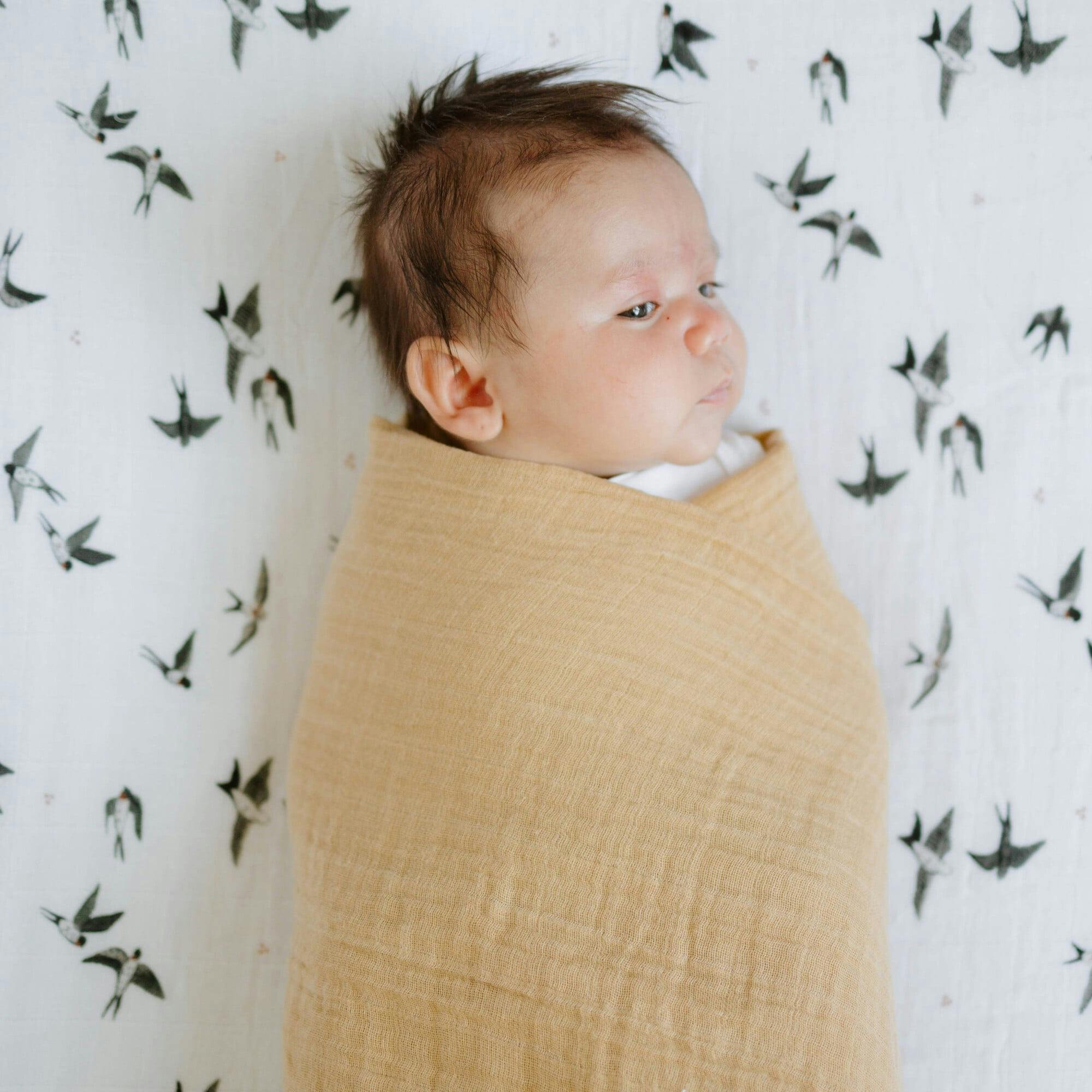 Organic Cotton Muslin Swaddle Blanket 2 Pack - Swallows