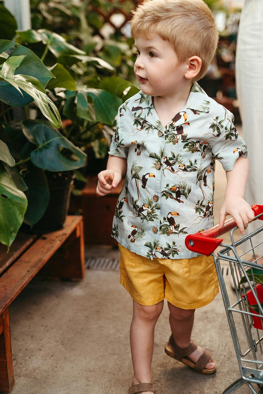 Blue Sky Linen Button-Up Shirt and Shorts Set