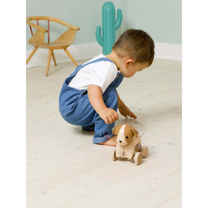 Pull Along Friends - Adrien the Dog