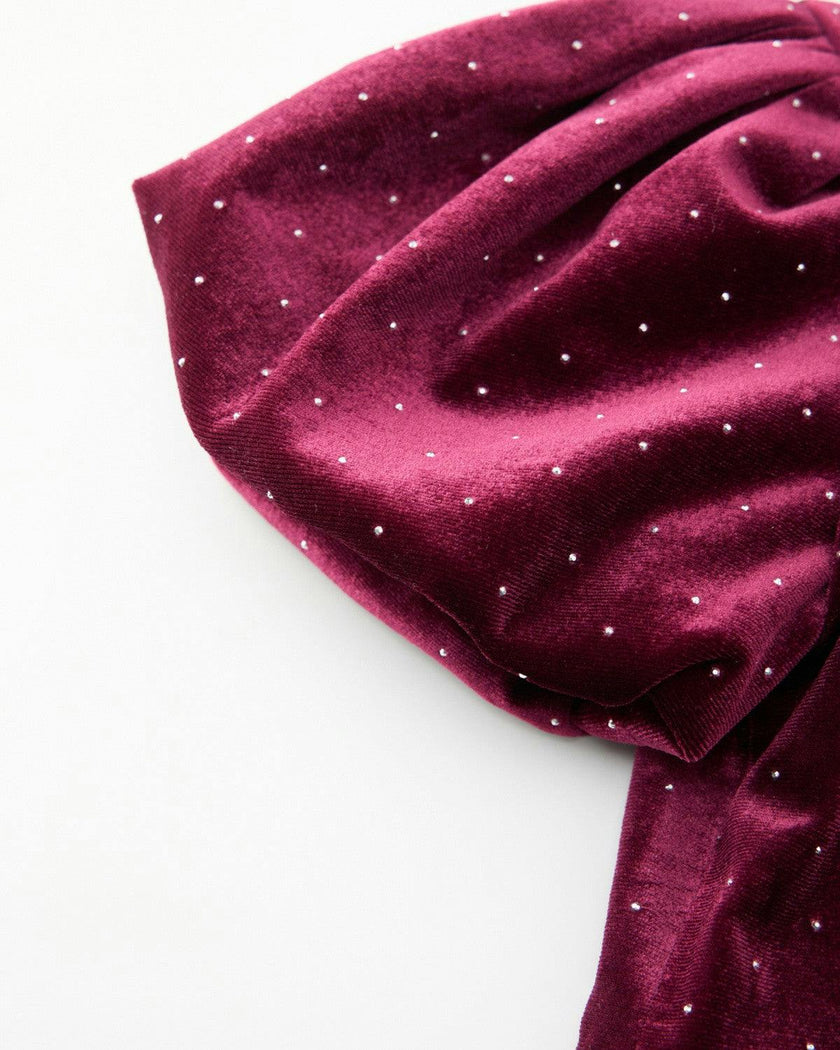 Elisa Velvet Mini Dress