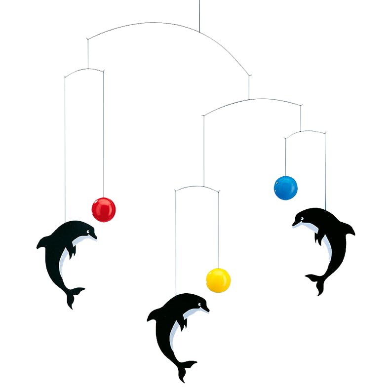Dolphinarium.