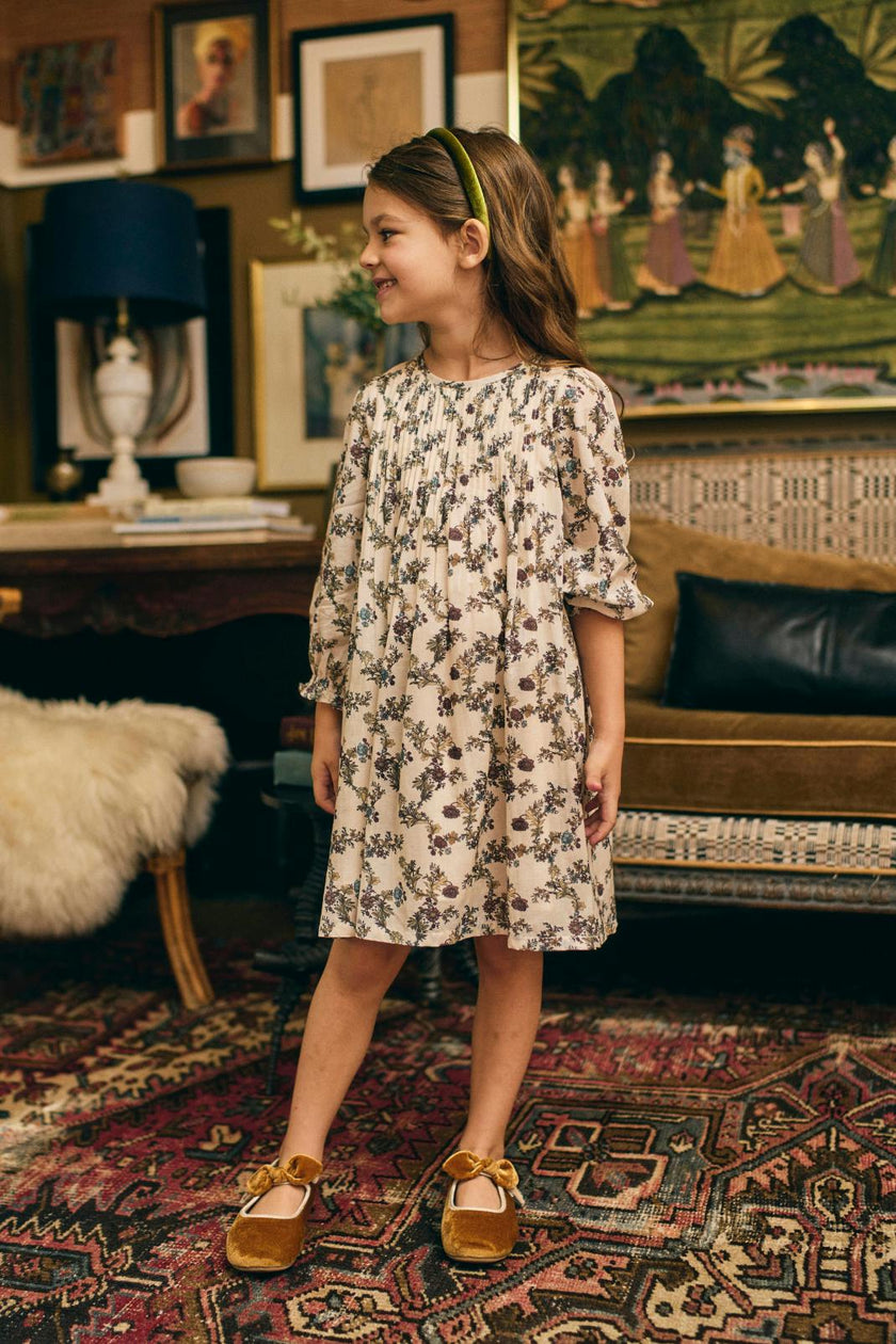 Charlotte Dress in Harvest Toile
