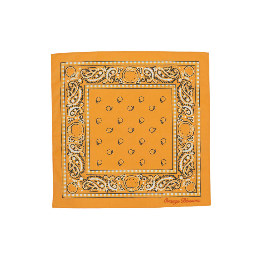 LOL Surprise! x Strawberry Shortcake Orange Blossom Bandana