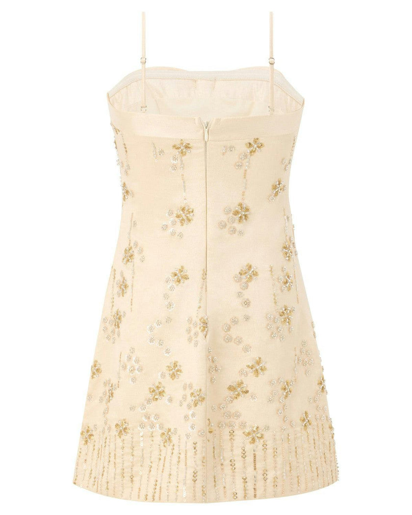 Adriana Beaded Mini Dress