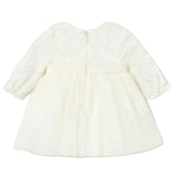 Ivory Embroidered Tulle Dress