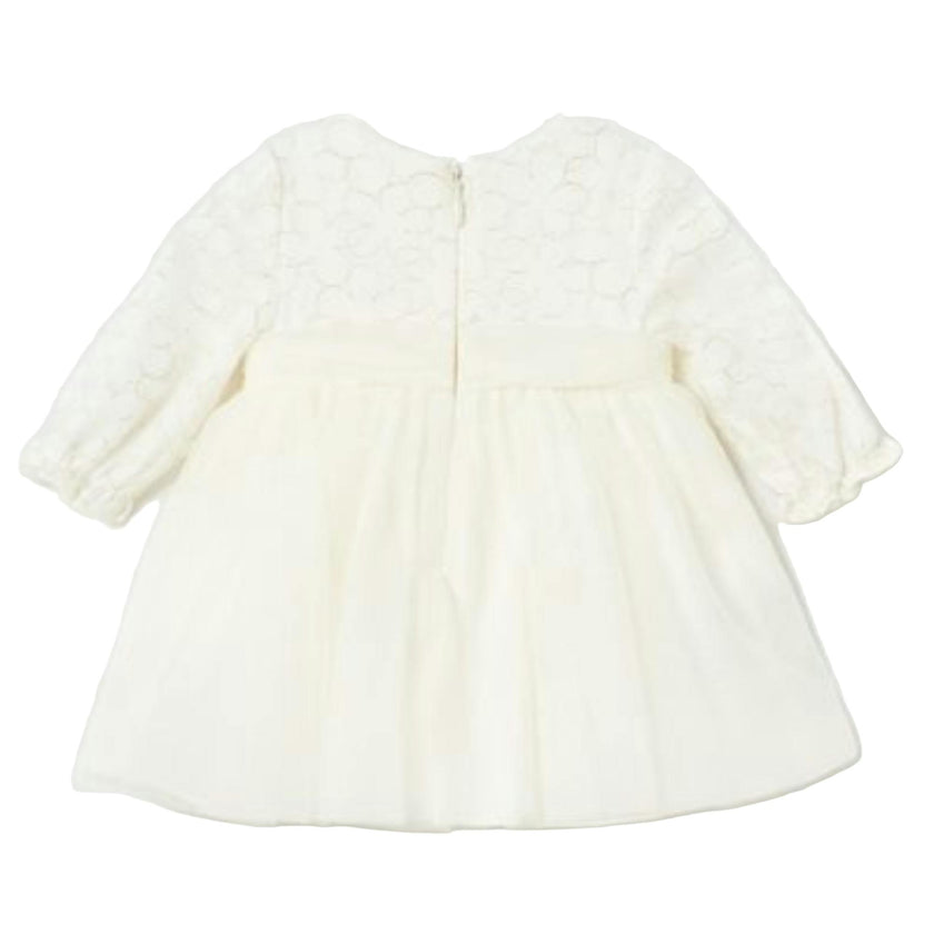 Ivory Embroidered Tulle Dress