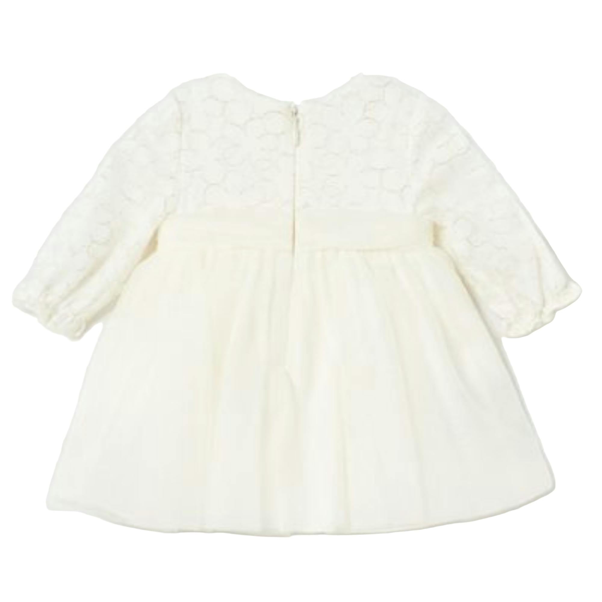 Ivory Embroidered Tulle Dress