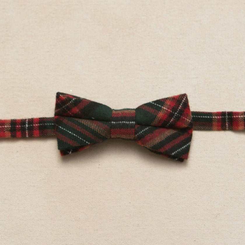 Ties in Evergreen Plaid