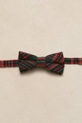 Ties in Evergreen Plaid