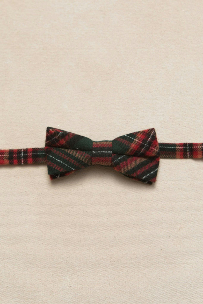 Ties in Evergreen Plaid