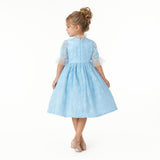 Sky Petal Music Box Dress