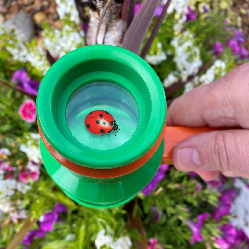 Nature Bound: Bug Catcher & Viewer