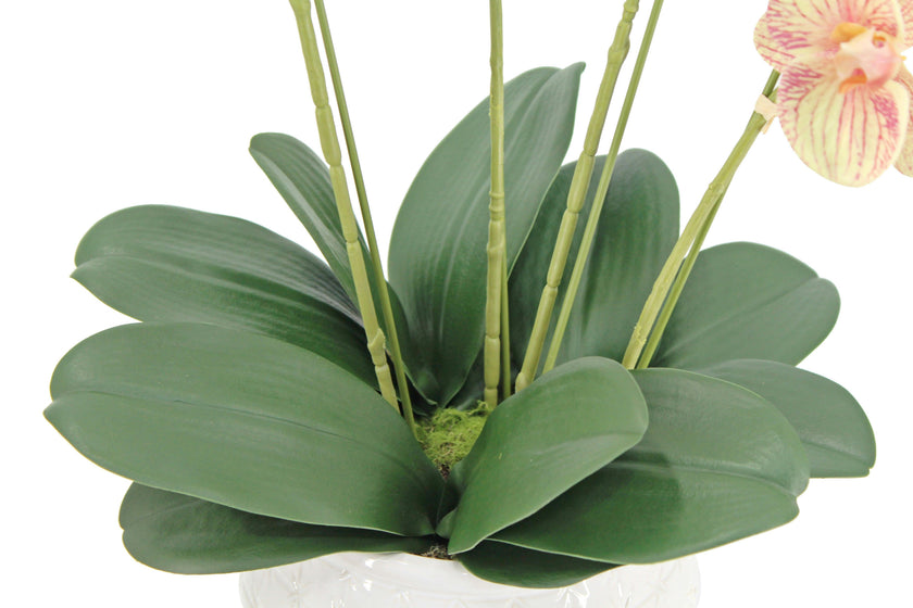 Artificial 4-Stem Phalaenopsis Orange Orchid