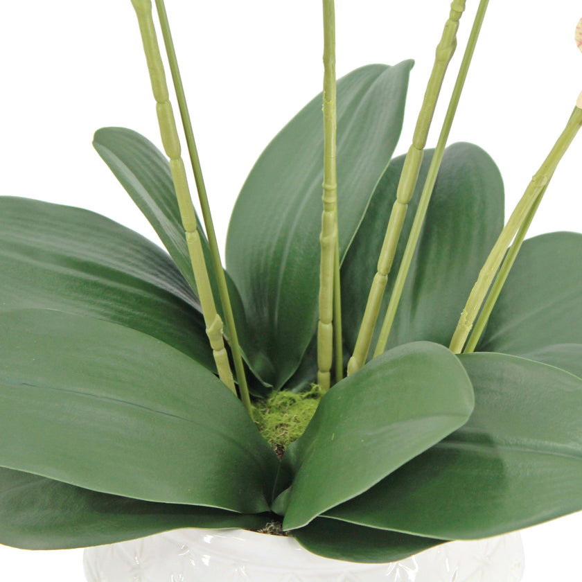 Artificial 4-Stem Phalaenopsis Orange Orchid
