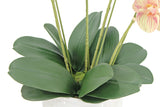 Artificial 4-Stem Phalaenopsis Orange Orchid
