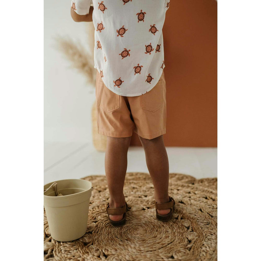 Boy's Dressy Shorts Sunset