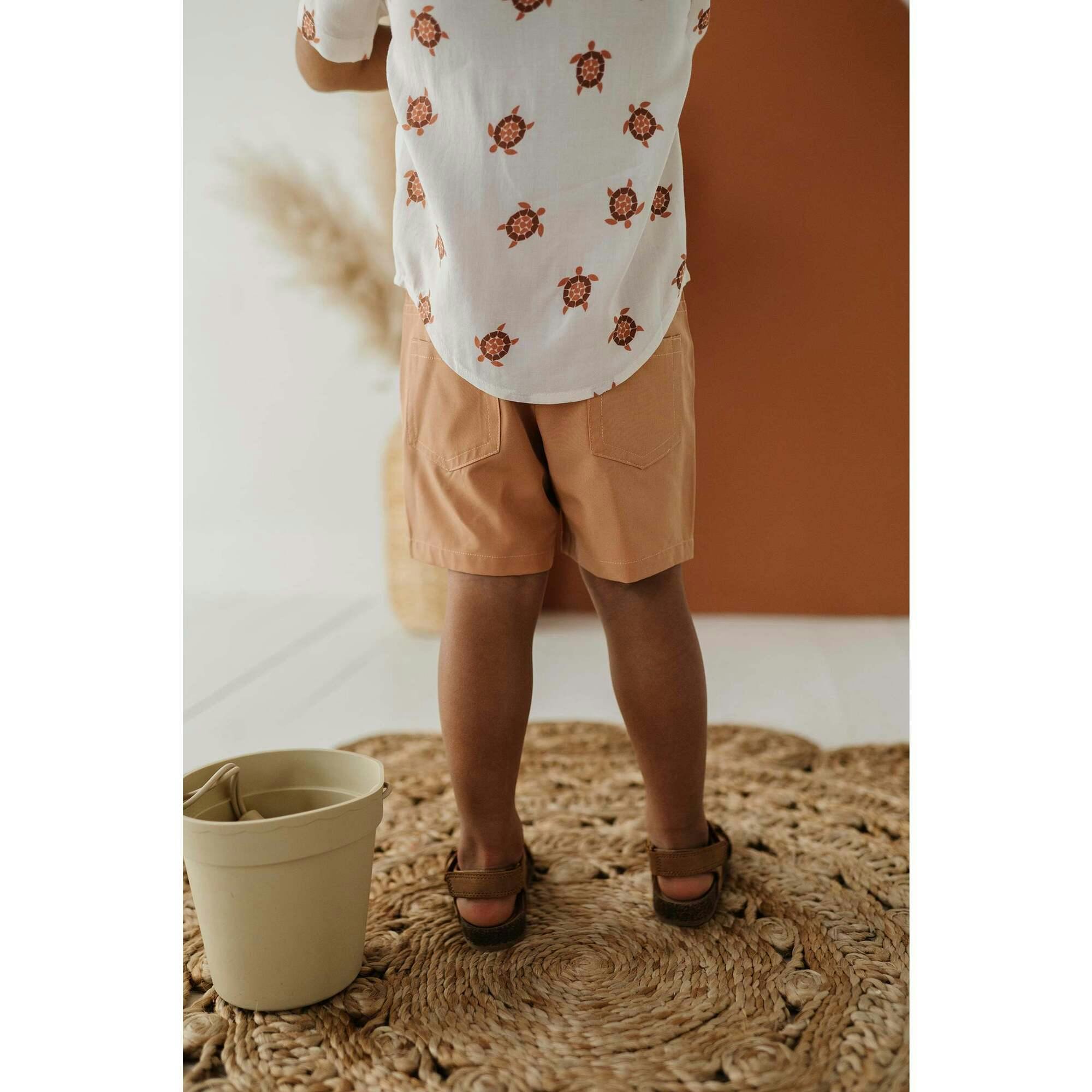 Boy's Dressy Shorts Sunset