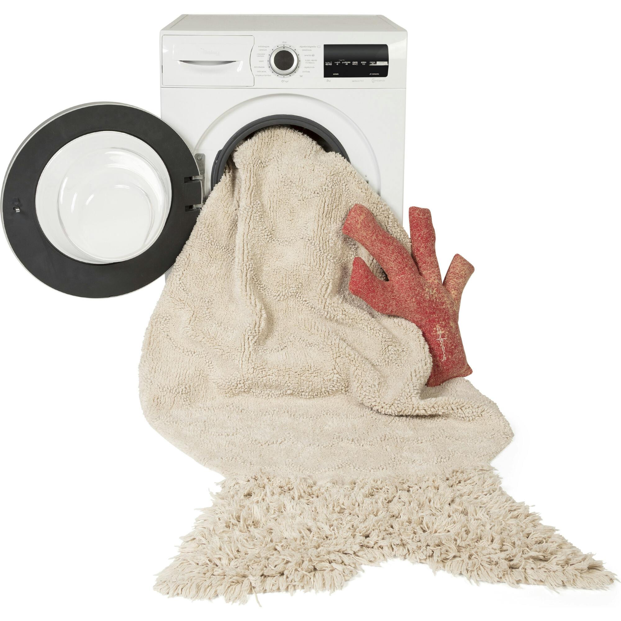 Big Washable Rug